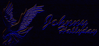logo Johnny Hallyday